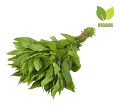 EPAZOTE ORGÁNICO