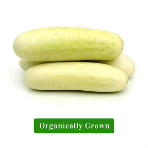 ORGANIC WHITE CUCUMBER
