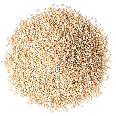 POPPED AMARANTH KG - BULK
