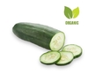 PEPINO VERDE ORGÁNICO