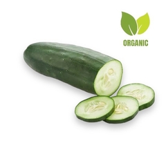 PEPINO VERDE ORGÁNICO