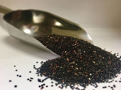 QUINOA NEGRA GRANEL