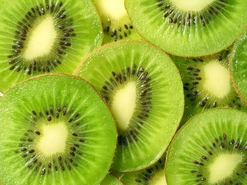 REGULAR GREEN KIWI KG