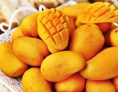 MANGO ATAULFO PZ