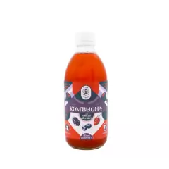 MATE ENERGY KOMBUCHA VIDA BEBIDA 355 ML