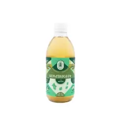 MATE ENERGY KOMBUCHA VIDA BEBIDA 355 ML - The Green Deli