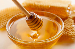 ORGANIC HONEY KG - BULK