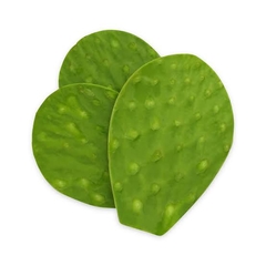 NOPAL LIMPIO KG