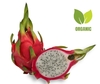 PITAHAYA ORGÁNICA KG