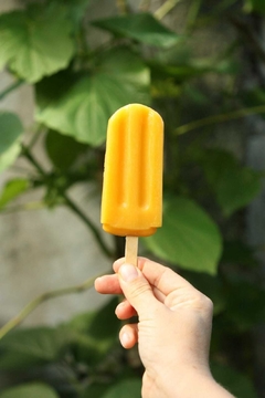 PALETANA PALETA VEGANA VARIOS SABORES - comprar en línea