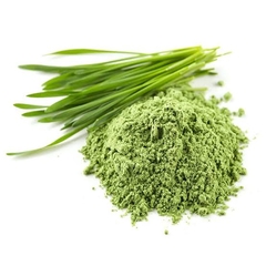 WHEATGRASS EN POLVO