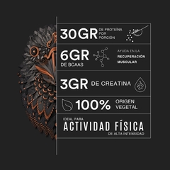 FALCON PERFORMANCE CHOCO BRONZE 1.140 KG - BIRDMAN on internet