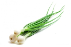 CEBOLLÍN MANOJO 100G