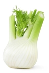 FENNEL BULB KG