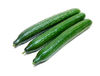 PEPINO EUROPEO ORGÁNICO PZS