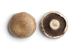 CHAMPIÑÓN PORTOBELLO KG