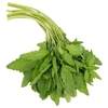 EPAZOTE MANOJO 100g