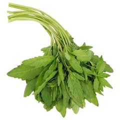 EPAZOTE MANOJO 100g