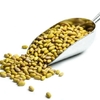 CANARY BEENS KG (Peruano)
