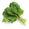 ESPINACA MANOJO