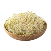 GERMINADO DE ALFALFA KG