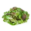 MIX PRIMAVERA DE LECHUGAS ORGÁNICAS 200G - MANOJO