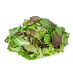 MIX PRIMAVERA DE LECHUGAS ORGÁNICAS 200G - MANOJO