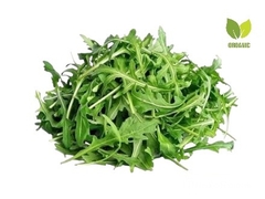 ARÚGULA BABY ORGÁNICA