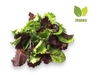 ORGANIC LETTUCE MIX