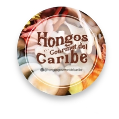 SETAS Y HONGOS MIXTOS - HONGOS GOURMET DEL CARIBE en internet
