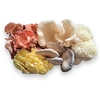 MIXED MUSHROOMS - HONGOS GOURMET DEL CARIBE