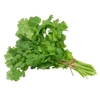 CILANTRO ORGÁNICO MANOJO 100 GR