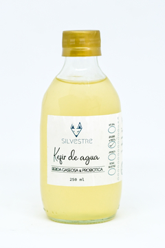 KÉFIR DE AGUA VARIOS SABORES - SILVESTRE