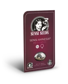 AMNESIA SENSI SEEDS - comprar online