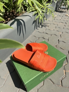 6301 chinelo Farm - comprar online