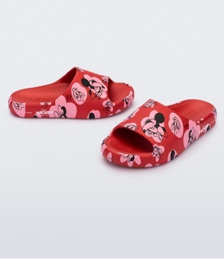 Melissa Free Print Slide + Mickey