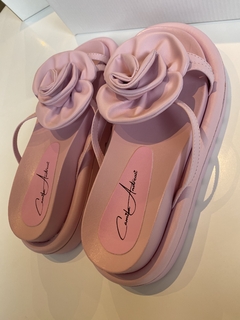 Birken Flor - Camila Andreozi 