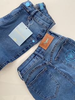 Calça Jeans Maryland Bordada - comprar online