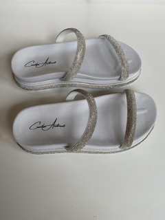 Birken na internet