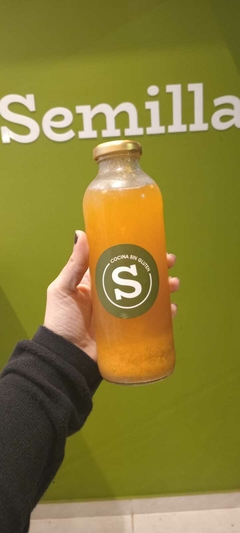 Kéfir de agua - comprar online