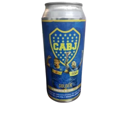 BOCA RIQUELME PALERMO