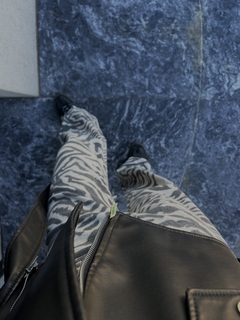 Wide Zebra en internet