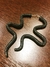 Brinco Serpente