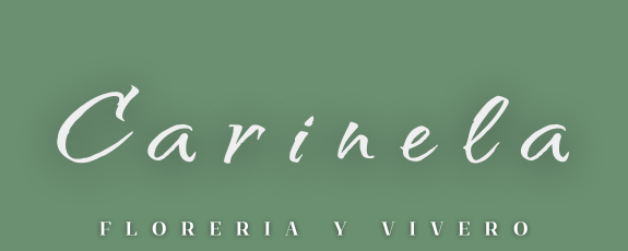 Carinela
