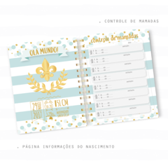 Caderneta de Vacinação Personalizada Príncipe - Menino na internet