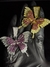 Dijes Mariposas