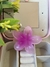 Broche hawaii Mediano fucsia