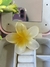 Broche hawaii Mediano amarillo