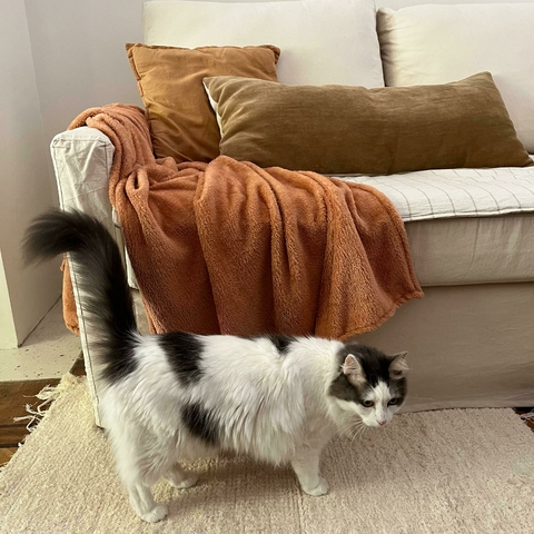 Manta polar - comprar online