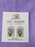 Tulipa
